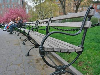 Washington Square Park Benches May Deplete Rainforest