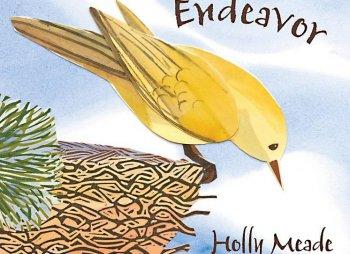 The Top Shelf: ‘If I Never Forever Endeavor’