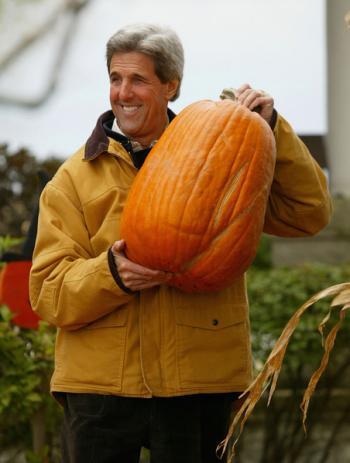 Pumpkins —The Healing Plant