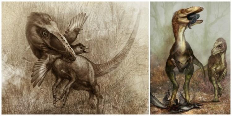 Flightless Raptor Ate Flying Dinosaurs