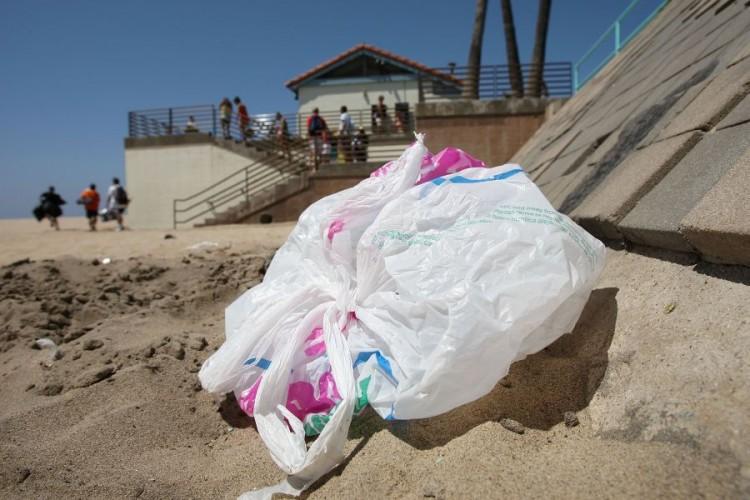 LA Approves Ban on Plastic Grocery Bags