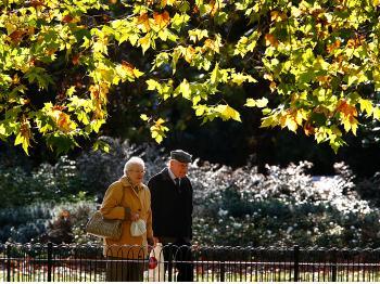 Green Spaces Good for Health