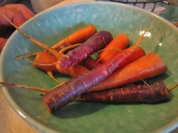 Organic Plant Breeding Yields Healthy Diversity