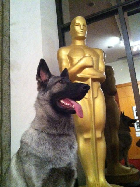 The First Oscars: A Return to 1929