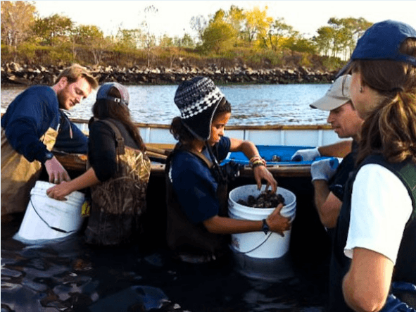 New York Harbor School to Show Off Oyster Program to Arne Duncan
