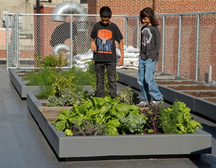 Gardens Add Life to a Growing Number of School Curriculums