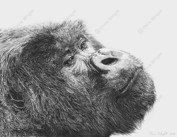 Experience Wildlife on the Southbank