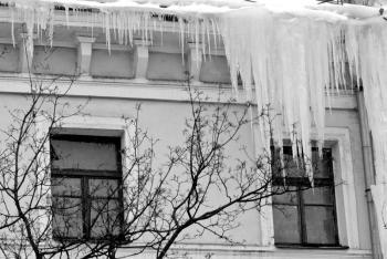 World in Brief, Jan. 11, 2010