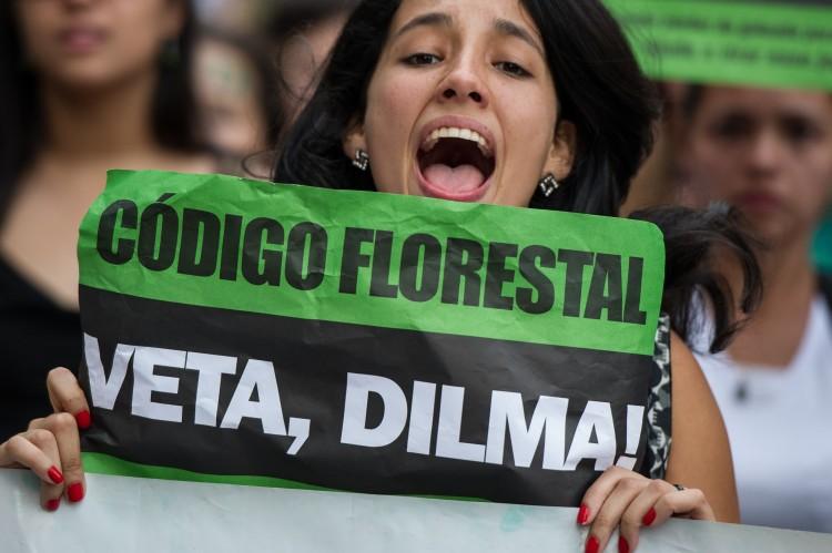 Brazil’s Controversial Forest Bill on Hold