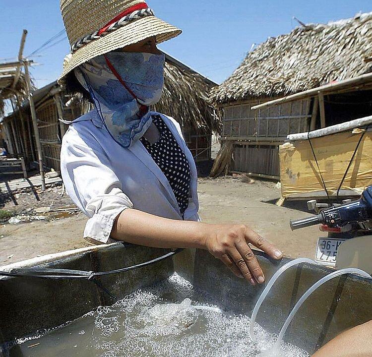 Anti-Scampi Day Draws Attention to Shrimp Industry Problems