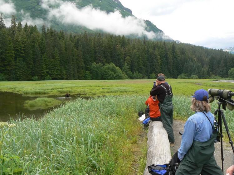 Alaskan Senators Praise Federal Decision to Allow Logging in Tongass, Progressives Oppose