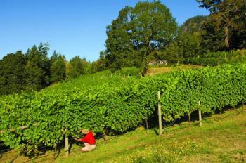 Slowing Down, Salt Spring Style