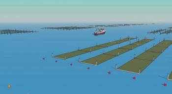 Europe’s First Sustainable Seaweed Farm