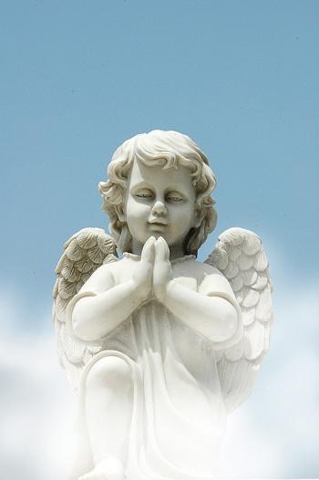 Wings of an Angel