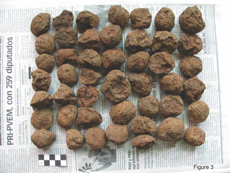 Mayans Used Clay Balls for Cooking