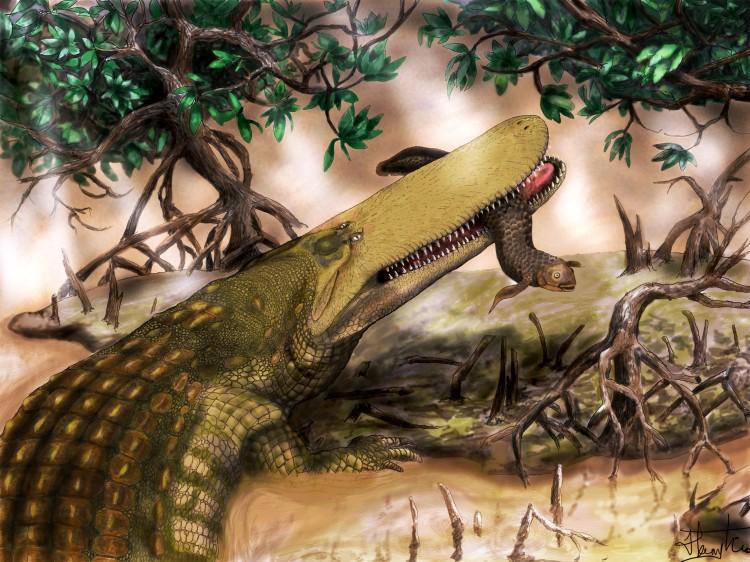 ‘Shieldcroc’: The Prehistoric Crocodile With a Bump On Its Head