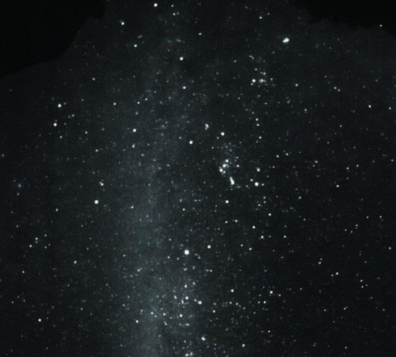 Dung Beetles Look to Milky Way for Guidance