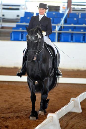 First Qualifying Event for the 2011 Pan American Equestrian Games