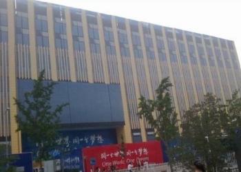 Beijing’s List of Fakes Keeps on ‘Building’