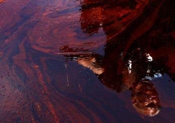 Live Feed of Oil Spill ‘Top Kill’ Agreed To by BP