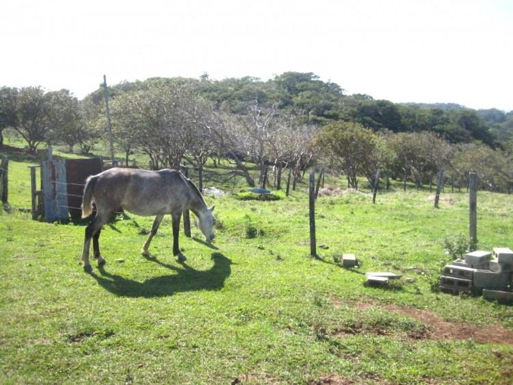 Costa Rica: Community-Based Tourism