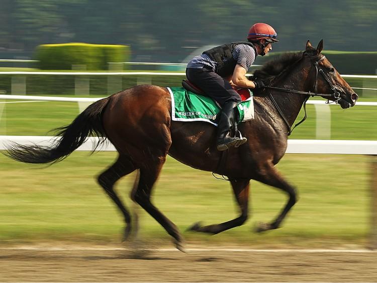 2011 Triple Crown Ends at Belmont Stakes This Saturday