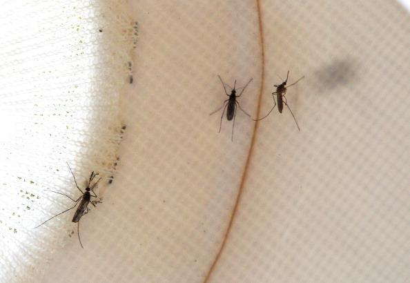 Aerial Insecticide Spraying in Texas Questioned