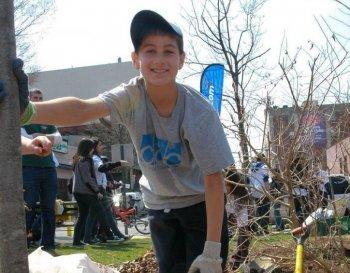 Reforesting Forest Hills, New York