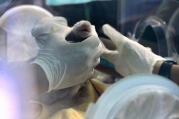Name Up for Vote for Thailand’s First Panda Cub