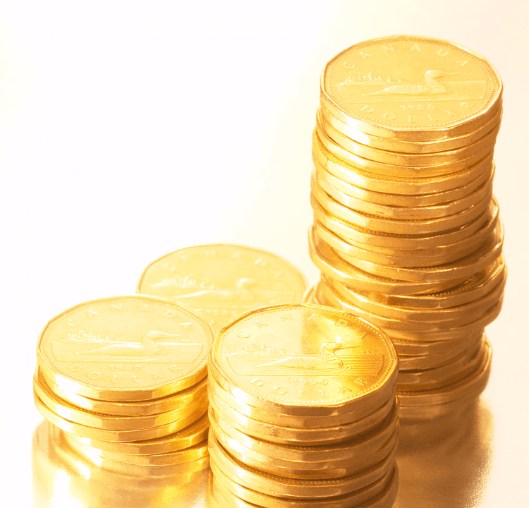 Canadians Optimistic about Economy, Personal Finances, Polls Find