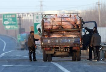 State Robbery in China Is Reaching a Dead End