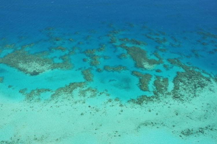 UNESCO Assesses Great Barrier Reef Health
