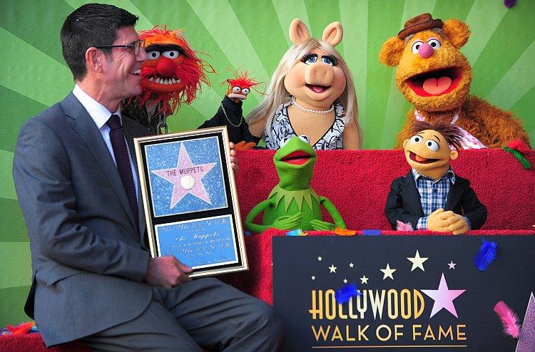 Muppets Get Hollywood Star (Photo)