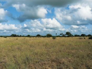 Satellites Reveal Critical Tipping Points in Ecosystems