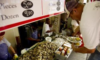 Gulf Shellfish and Soil Contaminated From BP Oil Spill, Researchers Find (Video)