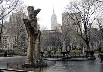 Madison Square Park Relived
