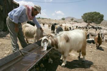 Water Access a Casualty in Middle East Conflict