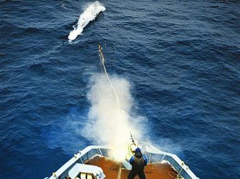 Europe’s Reputation as ‘Top Whale Enemy’