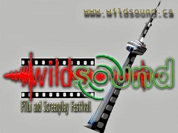 A New Approach to Film Festivals