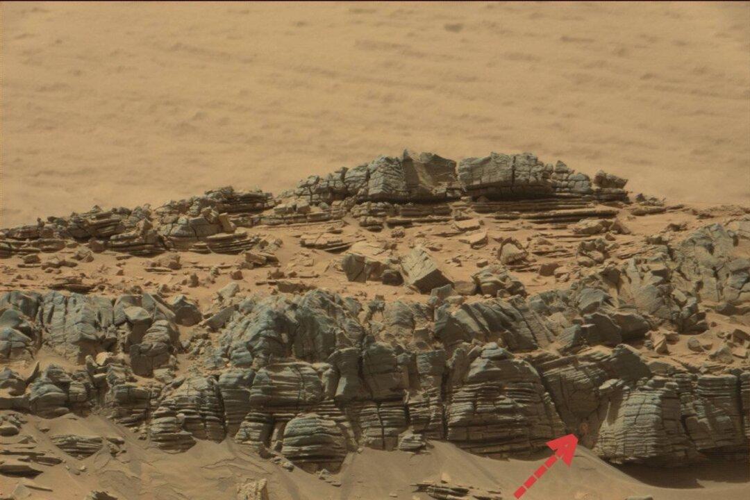So-Called ‘Crab’ Monster Found on Mars, But There’s A Good Explanation