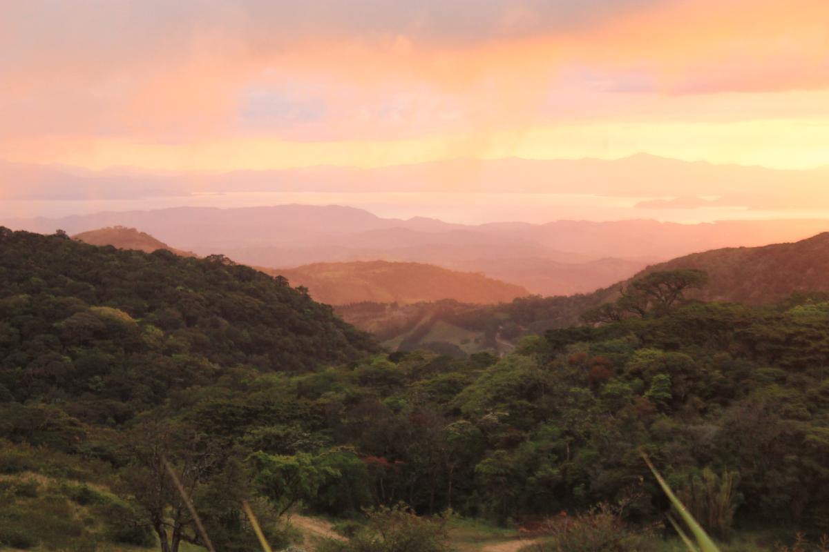 Walking in the Clouds in Costa Rica
