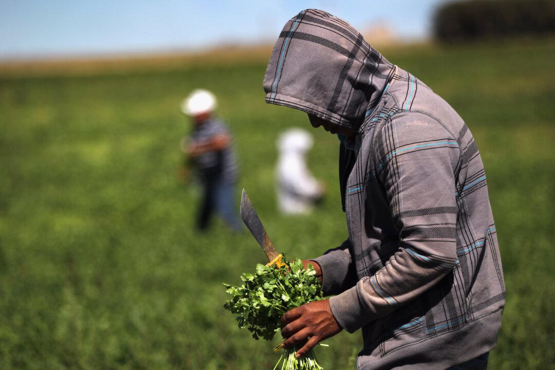 Report Challenges the Pro-Immigration Narrative