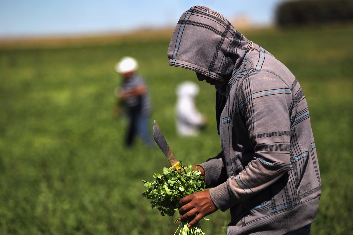 Report Challenges the Pro-Immigration Narrative