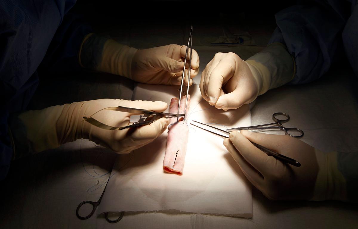 Why Are Some Medical Schools Still Killing Pigs to Train Students?