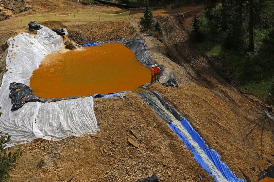 Pressure Mounting on EPA to Be Accountable for Gold Mine Spill
