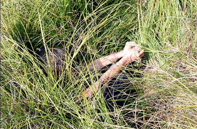 Little Girl Lost in Wilderness for 12 Days Has Amazing Story to Tell