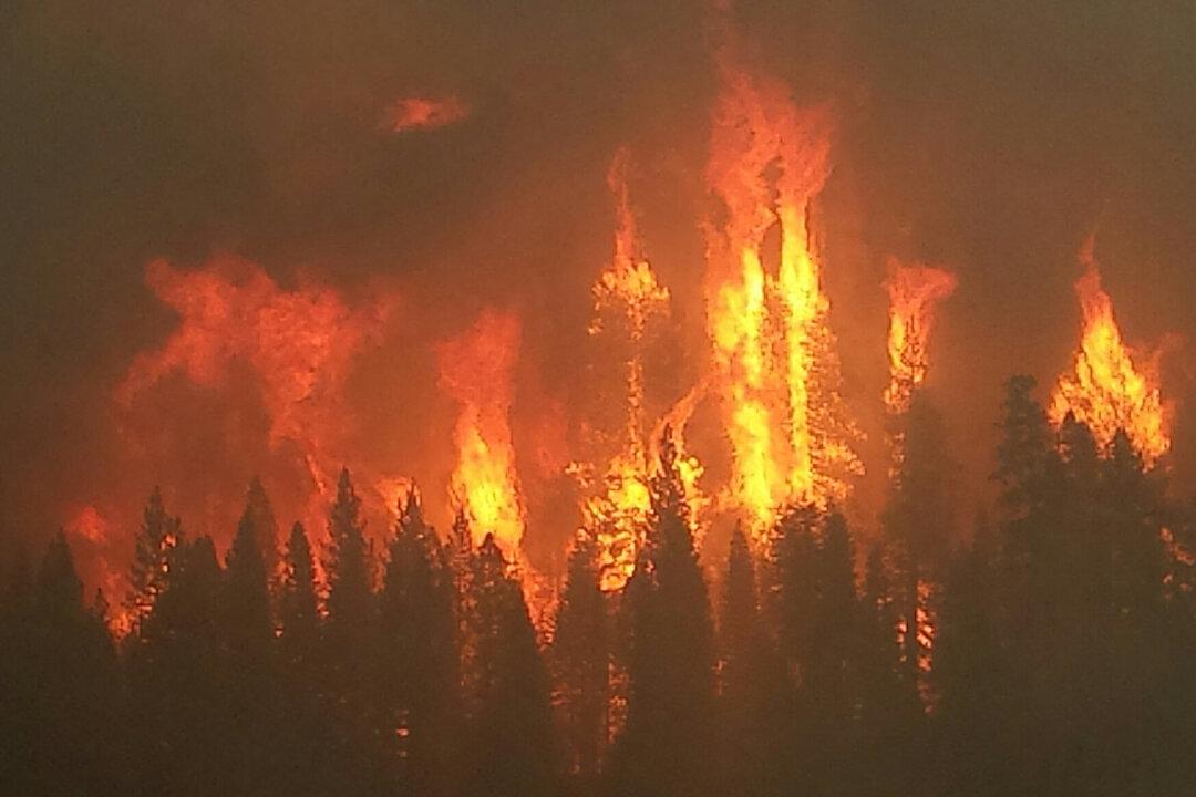 From Smokey Bear to Climate Change: The Future of Wildland Fire Management