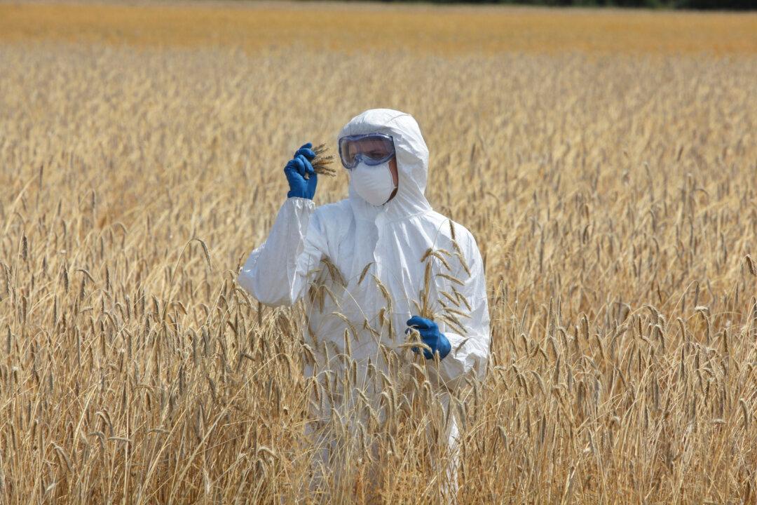 Former Pro-GMO Scientist Speaks Out on the Real Dangers of Genetically Engineered Food