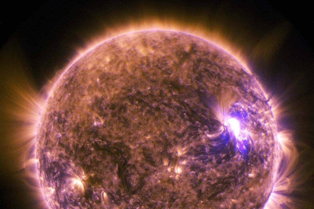 ‘Threat to Modern Society’: Scientists Say Massive Solar Storm Hit Earth 2,600 Years Ago