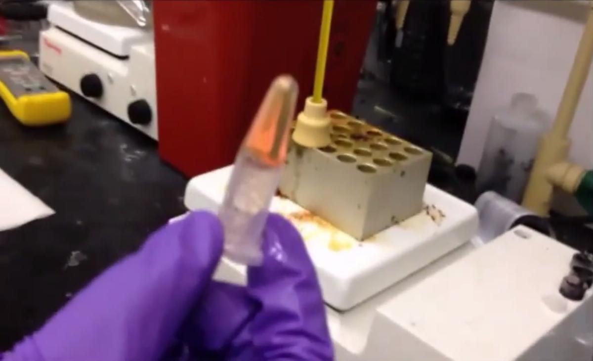 University Research Team Discovers Edible Solar Technology